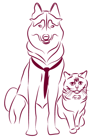 loup alpha-comm formation-02